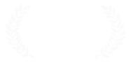 Nominee, Best Game Design, 2014 Animago Awards